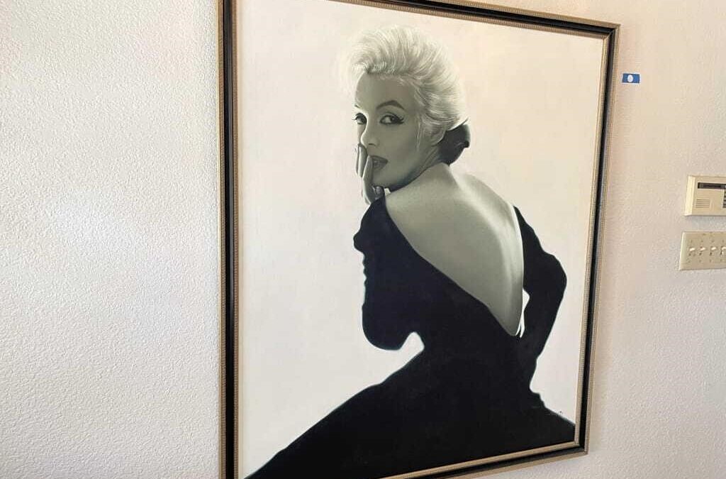 8/19 Sunny Hibid Classical Beauty Estate Sale Auction