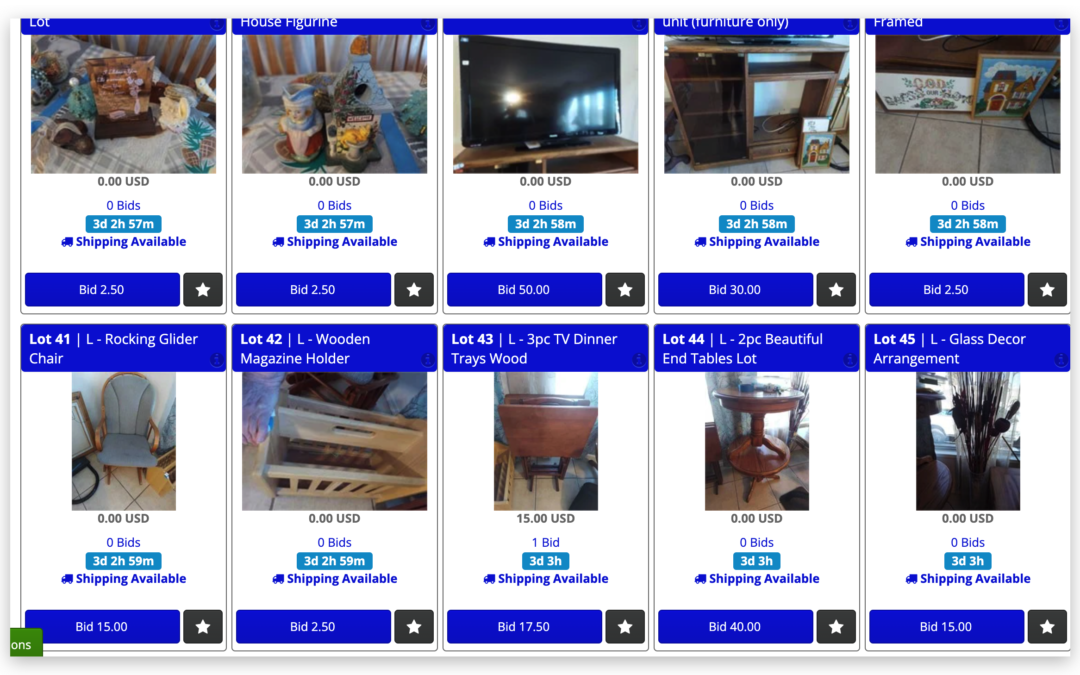 Two Sales Ending This week!  3/24 Sunny “Home Sweet Home” Full Estate Auction and  “3/25 Sunny Hibid Fun Vintage Collectibles and Homegoods”