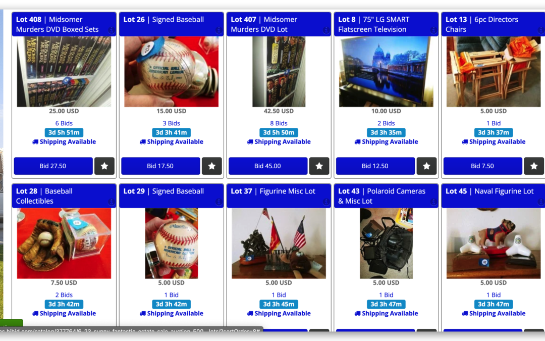 6/23 SUNNY FANTASTIC ESTATE SALE AUCTION 500+ LOTS