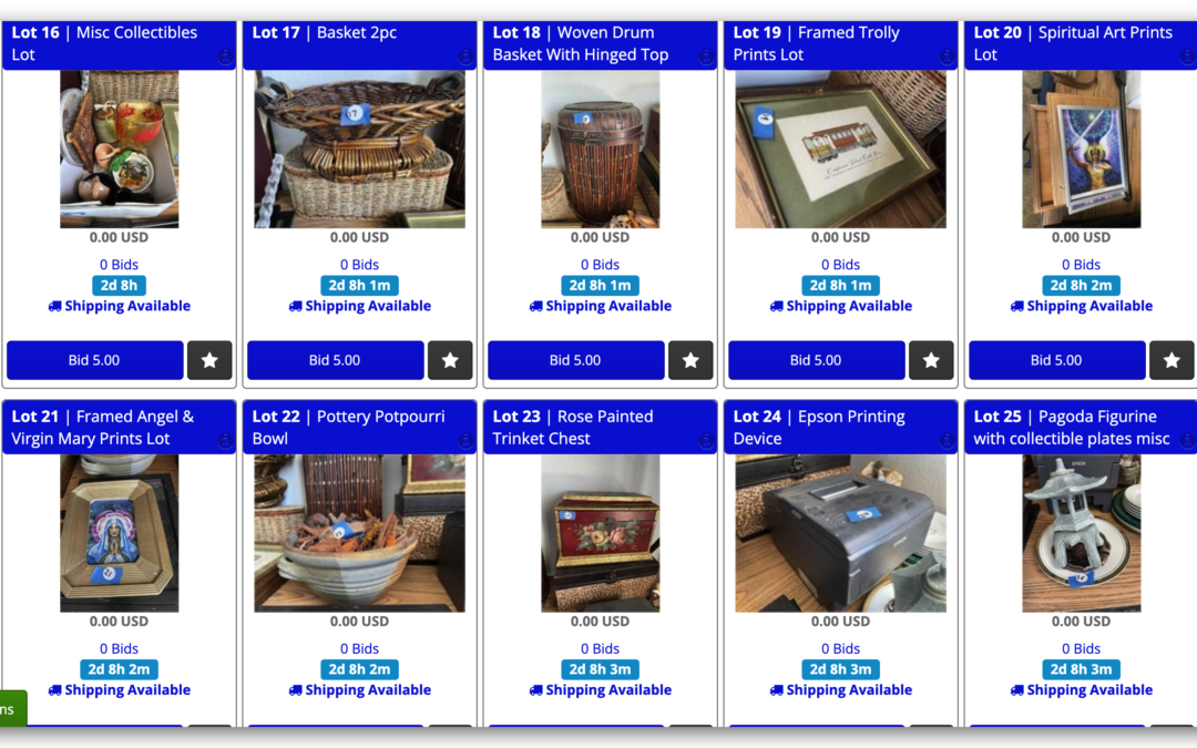 6/30 SOMETHING FOR EVERYONE, UNIQUE ITEMS 600+ LOTS