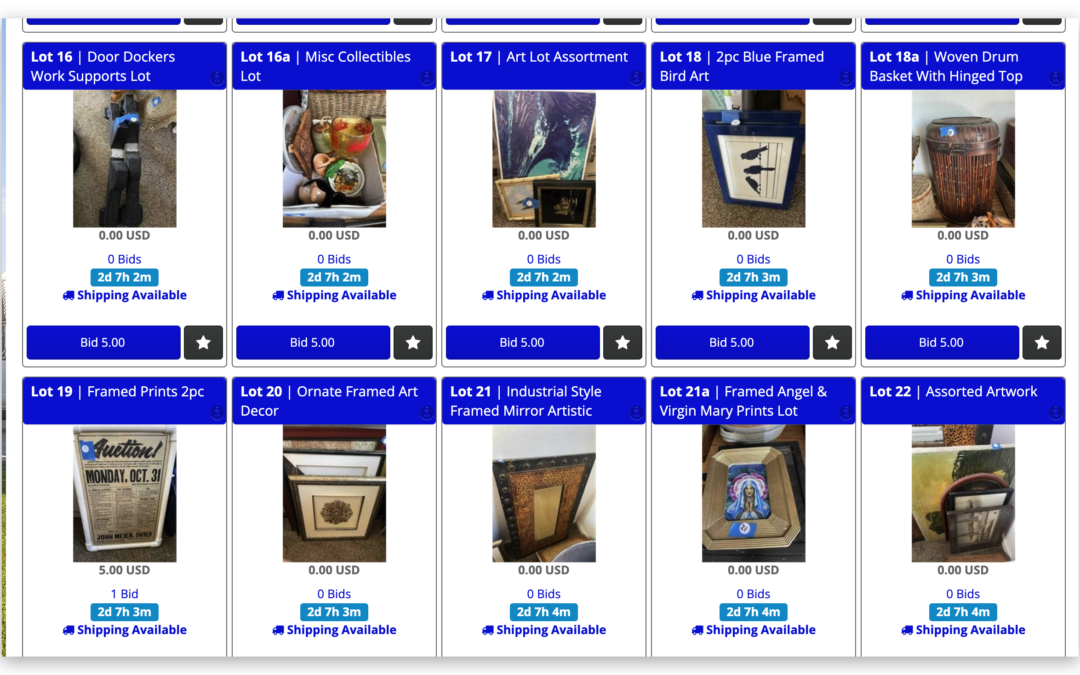 7/7 SUNNY GOOD FINDS ESTATE SALE AUCTION 700+ LOTS