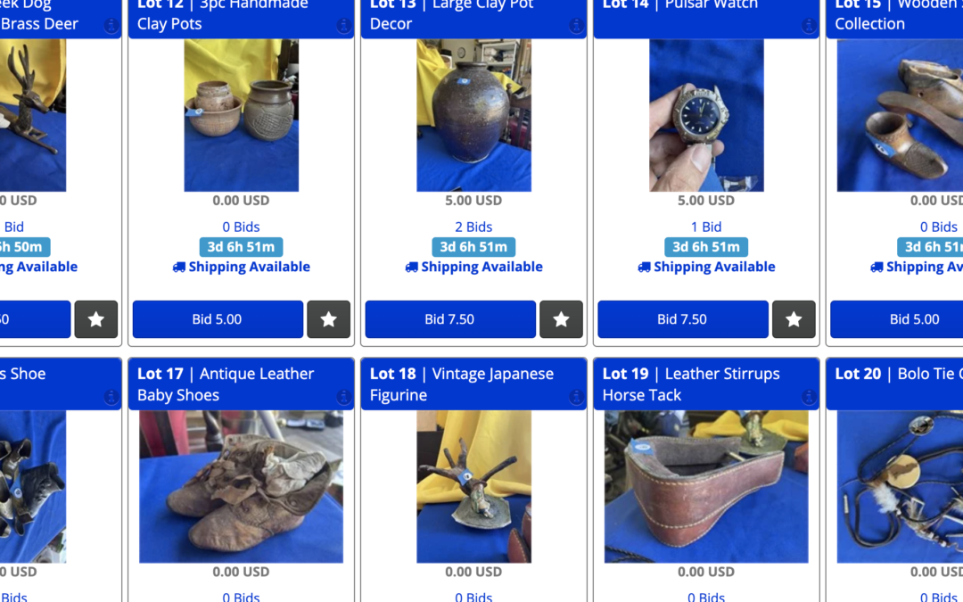 10/20 Unique Collectibles, Art, Fishing, Tools and MORE 300+