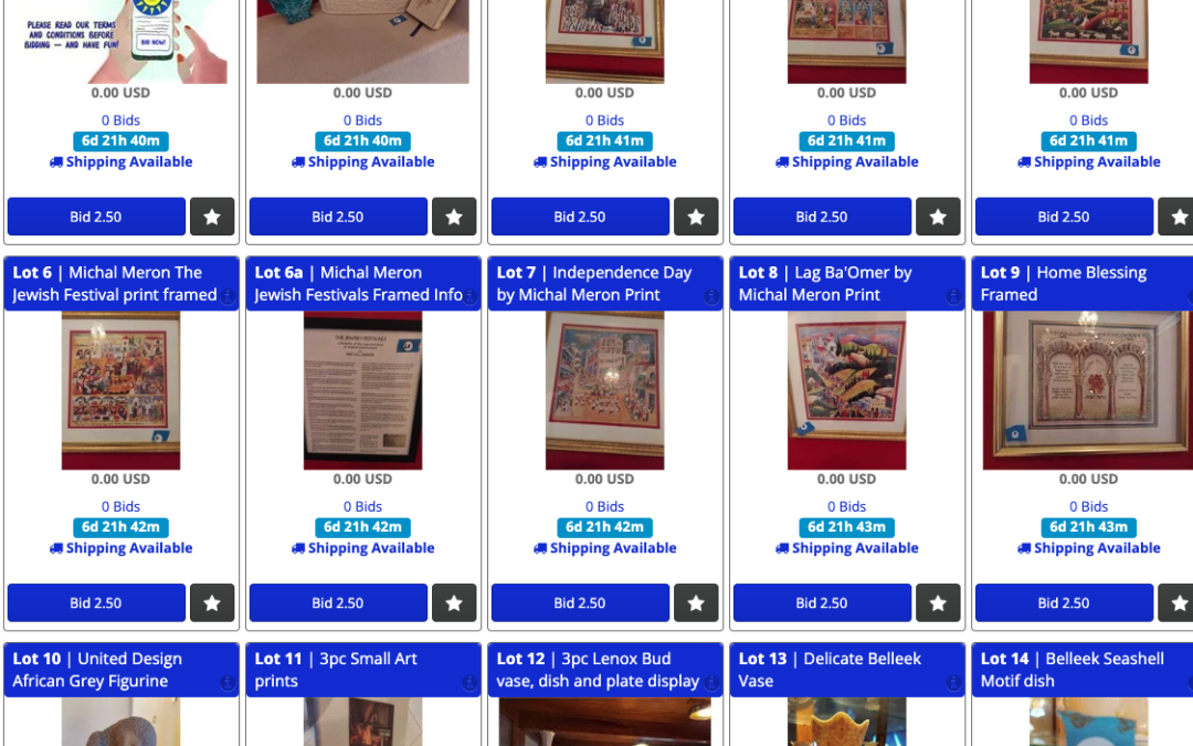 2/16 Sunny Elegant Estate: Collectibles, Furniture and More