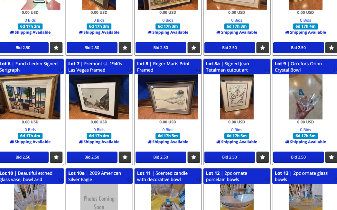  2/23 Sunny “Lakeside Luxe” Art & Elegance Estate Sale 450+