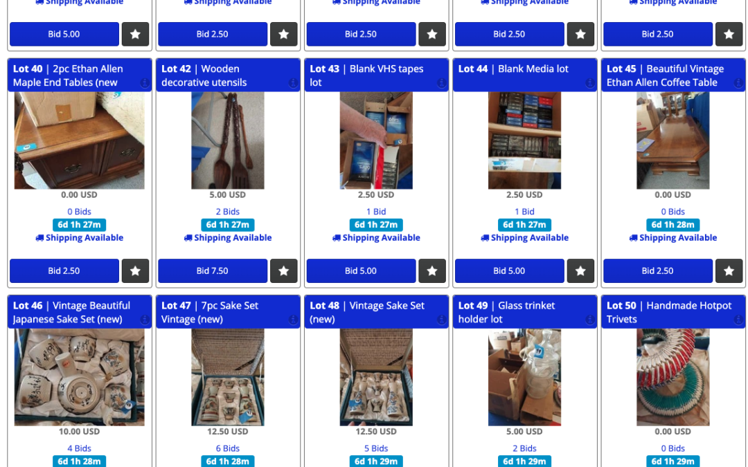 3/2 SUNNY “TOKYO TREASURE TROVE” VINTAGE ESTATE SALE