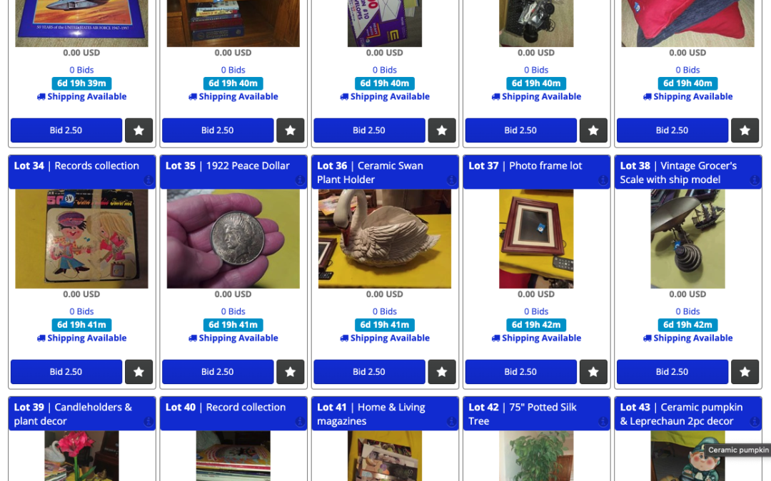  3/16 SUNNY “ELITE LIVING” LUXURY FURNITURE & ESTATE SALE