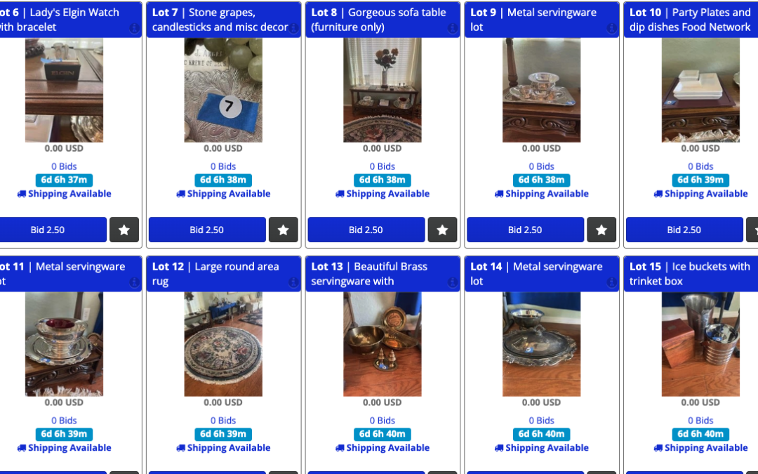 4/27 SUNNY COZY HOME TREASURES & ESTATE SALE AUCTION